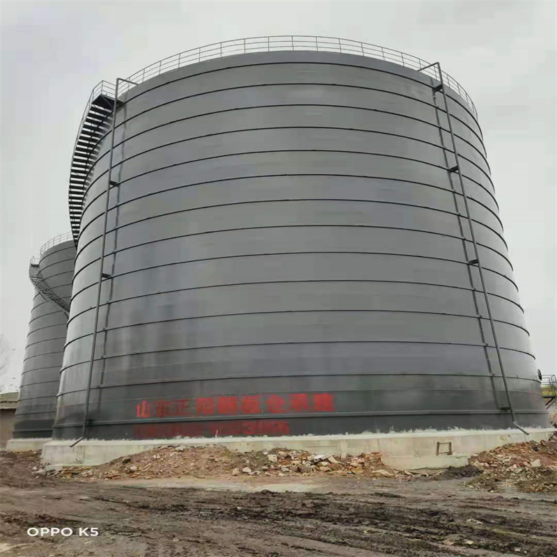 德清3万吨大型钢板库